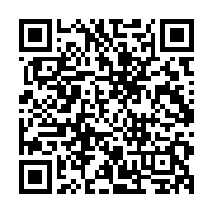 地区外经委也很肯定的回答这是省外经委一位领导介绍过来的二维码生成