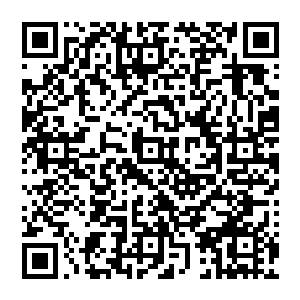 地球上几乎没有什么秘术是沙利文没有见过的……一眼就认出了秦方所使用的这种罕见的秘术了二维码生成