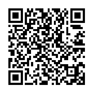 地球上的图书馆的所有藏书放到这里估计也只够放满一个书架二维码生成