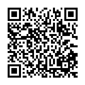 地球海洋里所含氢的同位素比例和来自小行星带的陨星是一样的二维码生成