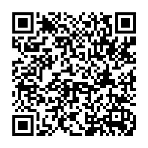 地球环境的形成并不是我们通常认为的是一种星球演变的某时期的必然结果二维码生成