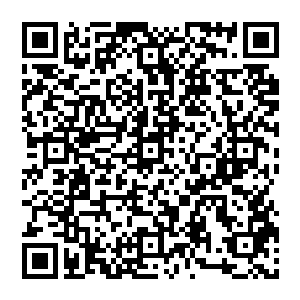 地面上生活着大量低阶修仙者以及一小部分富裕的原人――这些原人往往和修仙者有千丝万缕的血缘关系二维码生成