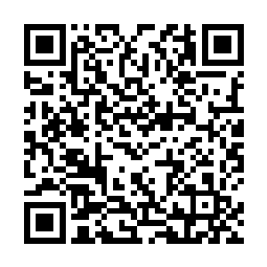 地面仿佛是用一块长宽达到数百米的巨型黑岩雕琢而成二维码生成