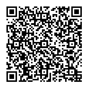 坎多在至强兵峰里是一个神奇的存在 他不的楼层 沒有任何的一个手下 他就自己一个人呆在那一楼里二维码生成