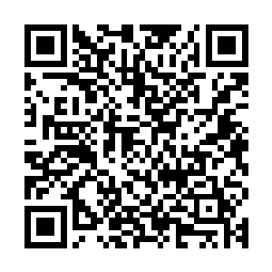 坐在小型简易办公桌对面的索菲亚放下了手中才完成小半的剧本二维码生成