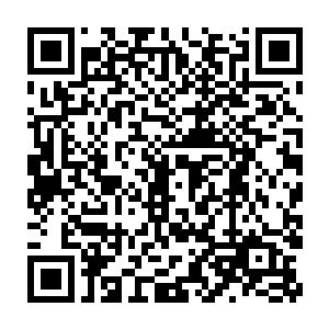 坐在计程车上往家里赶的慕初夏觉得现在的自己就像是一个迷路的小孩二维码生成