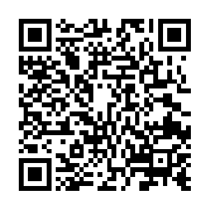 坐在里面就跟坐在拥有无敌海景的宽敞客厅里没多大区别二维码生成