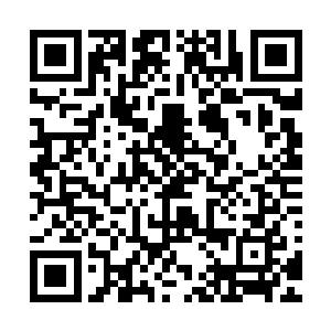 坚韧的挡住了那把无论重量厚度宽度都多它两三倍的巨大宽剑二维码生成