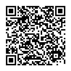 坚韧的金属箱子对于拥有着可怕力量的楚旬而言简直就如同朽木一样一触即碎二维码生成