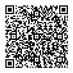 垄断能产生的利润肯定比开放市场要更大――而如果张导手里的关系可以无限的使用下去的话二维码生成