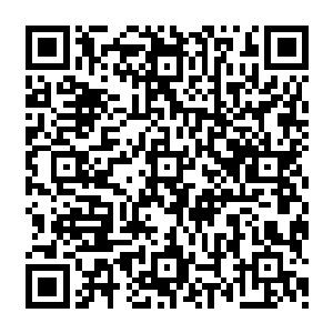 垫着莫昕岚的衣服袖子再一次握了一下柔软无骨的手……莫昕岚似被烫到一般挣扎想要摆二维码生成