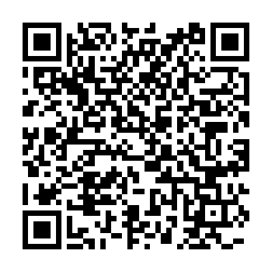 埃尔顿打算用他最擅长的速度来击垮荣光――你小子不是擅长速度吗二维码生成