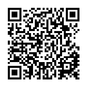 城主……虽然我敬佩你……但我也不想你连累了归元城……二维码生成