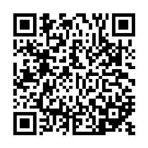 城主也完全可以将这个矛盾扔给贵宾席上的燕星云和王卧云二维码生成