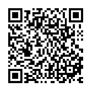 城主府能够绑架六大家族灭掉呼延家族和李氏家族就已经不易了二维码生成