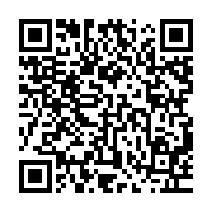 基本上又是在萧强的三百六十度全方位无死角的保护下生活的二维码生成