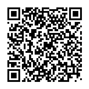 基本上就可以认为是他们在杨晨面临困难和危险之时的真实反应了二维码生成
