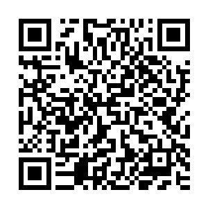 基本上已经不会在意那么多了……连他一直都尽量压抑的修罗气二维码生成