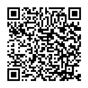基本上已经宣告他打算彻查93号航班在纽瓦克的乘客身份的事情已经彻底完蛋了二维码生成