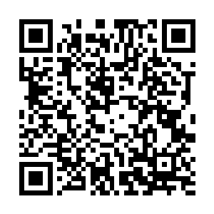 基本上每个暑假他都要到那边的企业去搞社会活动实践二维码生成