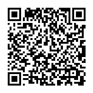 基本能量储备在经过一次地形改造和完成了后面的两次酵母菌的变异进化之后二维码生成