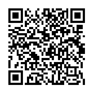 基础长拳和基础腿法我已经数量的不能在熟练了二维码生成