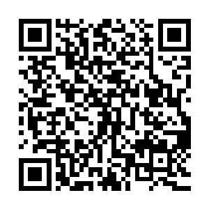 堂堂的广南王府的世子殿下又何时成了集仙峰上跑腿的小管家二维码生成