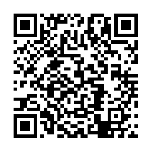 堂堂锦衣卫总旗不但没能收拾这么个无权无势的医馆弟子二维码生成