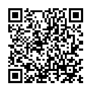 堆积在老板娘洞天福地内的储物镯已经全部清理完毕了二维码生成