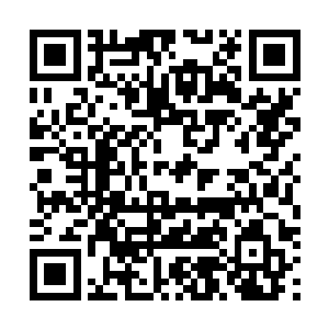 堕民开始正视大祭司以前一个人在神殿里进行的种种推算二维码生成