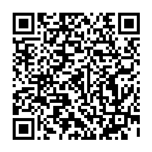 堡主大人你觉得你会把门派之中的那些珍贵秘籍建一栋楼明火执仗的存放着吗二维码生成
