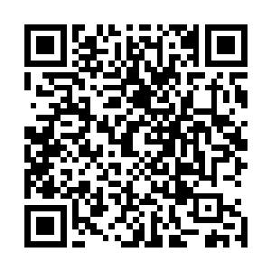 堡主大人现在一定迫不及待的想要试试投掷飞矛的威力了吧二维码生成
