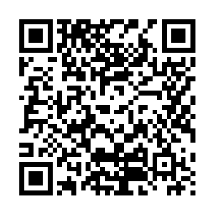 堡主大人还记得为什么小树无法生出有关魔族骑士的任何果实吗二维码生成