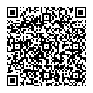 堡主大人还记得你为了应付太夏的粮灾从黑铁之堡里面拿出去的那些在黑铁之堡里面变异后的优异粮种和蚯蚓吗二维码生成