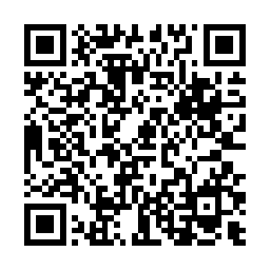 堪斯塔和砂察拿出了木棍朝着王铮和迟慕野打了过去二维码生成