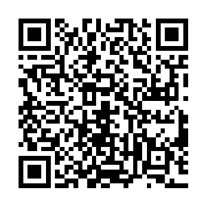 堵在城门口的麓家人被这股朝外喷射的强横力量推得飞离地面二维码生成