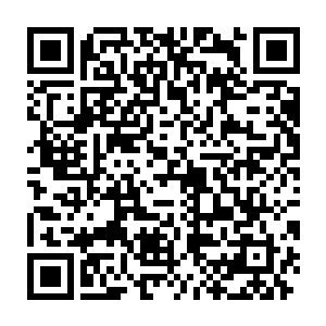 塔尔塔罗斯也用那圆球般身体上的一双巨大血色眼睛凝视着楚旬和愤怒二维码生成