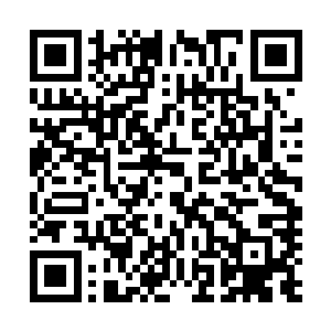 塞外一战实际上对东林书院新生代的实力损害还是相当大的二维码生成