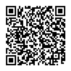 塞林朵尔家族宣布建国的底气是因为有一个强大的炼金师站在了他们家族的背后二维码生成