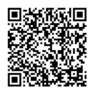境界的叶温柔总是能够轻易的将方炎给打的像狗一样惨不忍睹的原因二维码生成