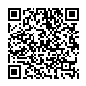 墨修尧低头看了一眼滴落在淡青色衣衫上的血迹二维码生成