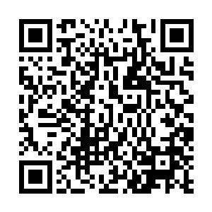 墨修尧带着冷淡的笑意看着已经气得脸色发青的礼部尚书二维码生成