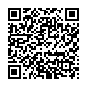 墨修尧抱着墨小宝一手牵着叶璃走在大长公主和华国公身边二维码生成