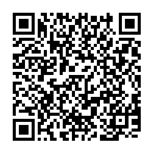 墨修尧牵着叶璃一边走着一边愉快非常的和叶璃盘算起宝贝到手之后的用处二维码生成