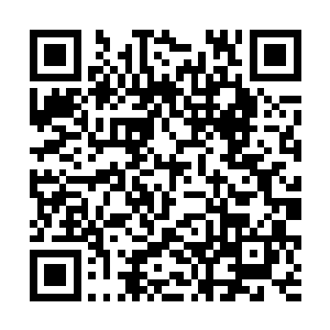 墨修尧盯着眼前堆积的厚厚的各种卷宗资料扬了扬眉二维码生成