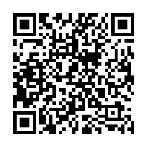墨修尧随手抄起两人喝过的茶杯拉着叶璃从一处暗门进去了二维码生成