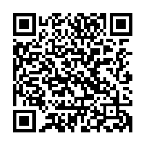 墨小宝没什么兴趣的回过头去继续盯着眼前的牡丹默默的流口水二维码生成