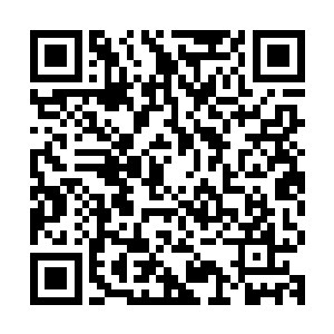 墨族的几位伪王主已经做好了做出牺牲一些墨族强者的心理准备二维码生成