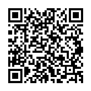 墨族那边一直怀疑族人这边是不是掌握了什么克制墨之力的手段二维码生成