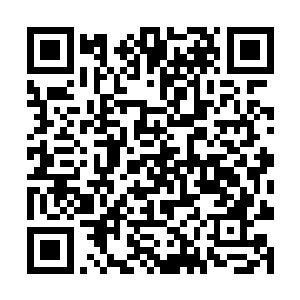 墨无忧看着他黯然无光的神色也不由的生出许多不忍二维码生成